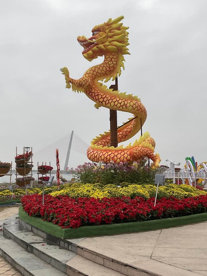 The Dragons of Vietnam 2024 ~ photo credit with thanks to Anne Mackie 
